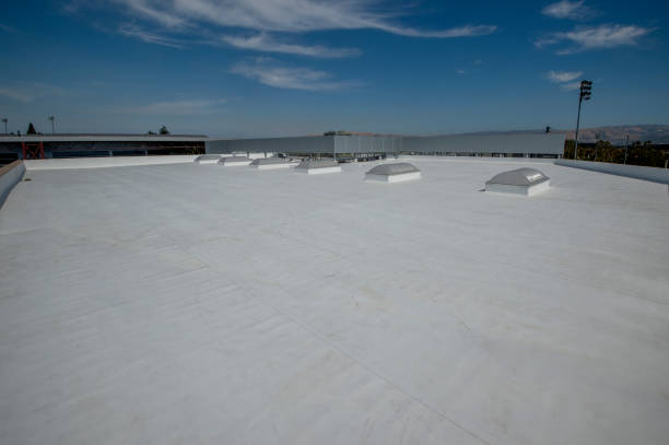 Best Asphalt Shingle Roofing  in Kempner, TX