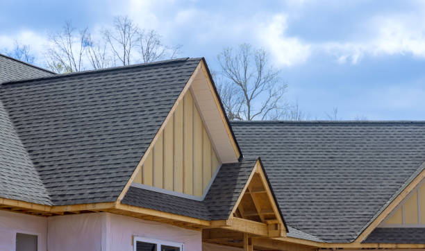 Best Skylight Installation and Repair  in Kempner, TX